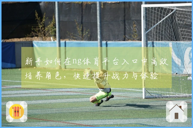 新手如何在ng体育平台入口中高效培养角色，快速提升战力与体验
