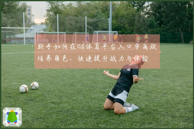 新手如何在ng体育平台入口中高效培养角色，快速提升战力与体验