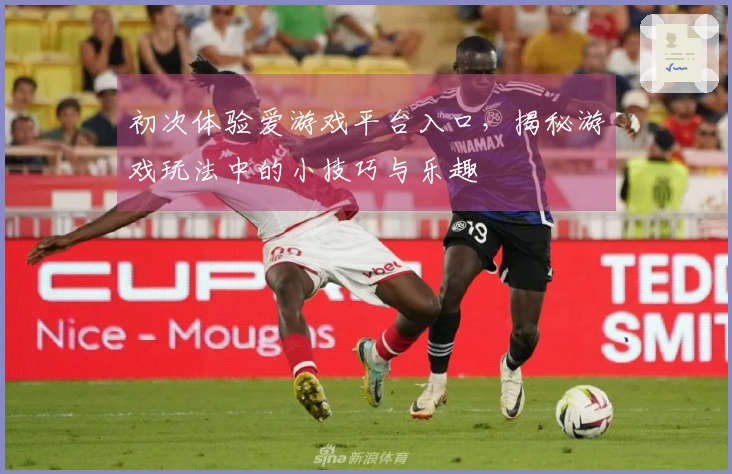 初次体验爱游戏平台入口，揭秘游戏玩法中的小技巧与乐趣